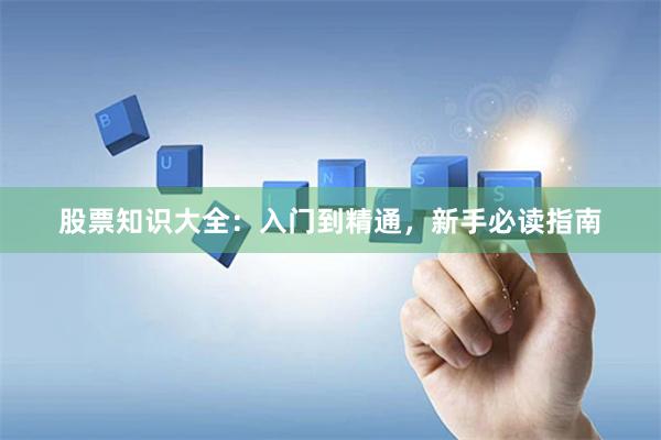 股票知识大全:入门到精通,新手必读指南