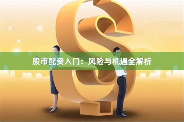 股市配资入门：风险与机遇全解析